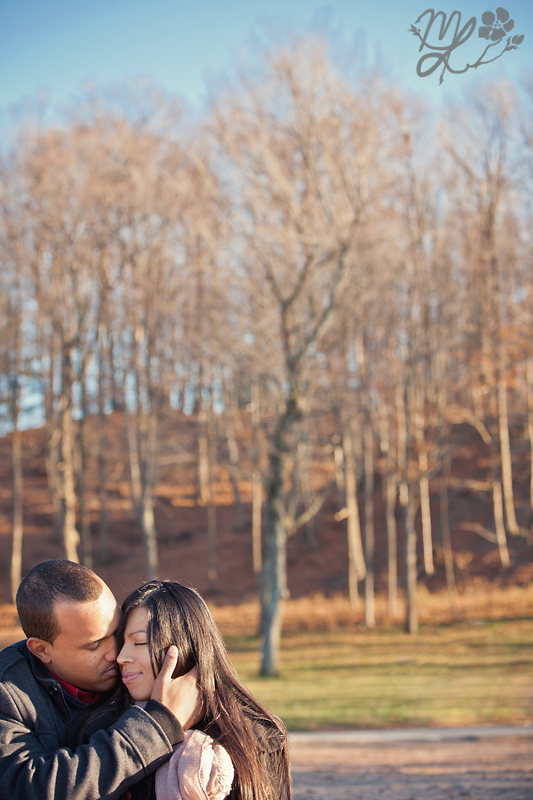 Fayetteville NY Beach Picnic Engagement Session