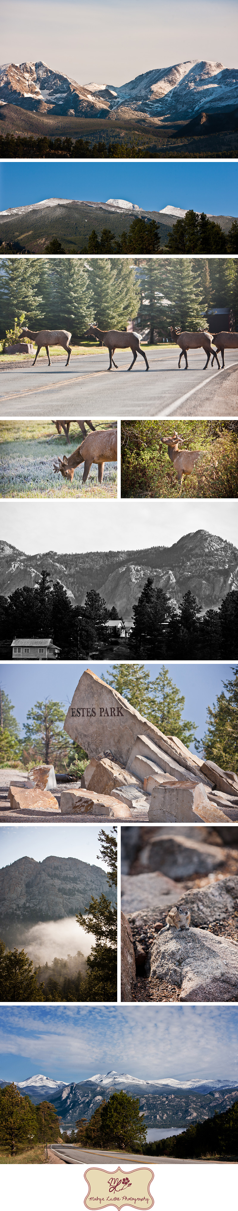 Estes Park, CO Rocky Mountain Photography Mabyn Ludke Photography