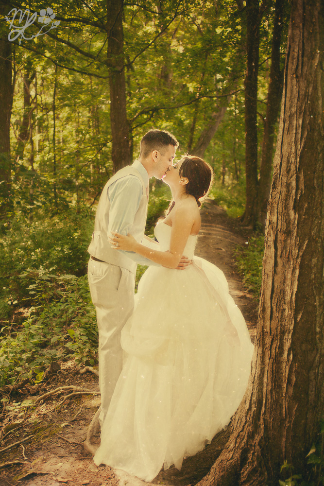 Fairy Tale Wedding Photography Mabyn Ludke Photography