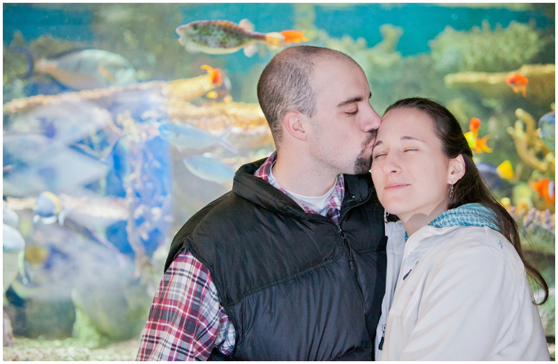 New England Aquarium Boston, MA Engagement Photographer Mabyn Ludke Photography