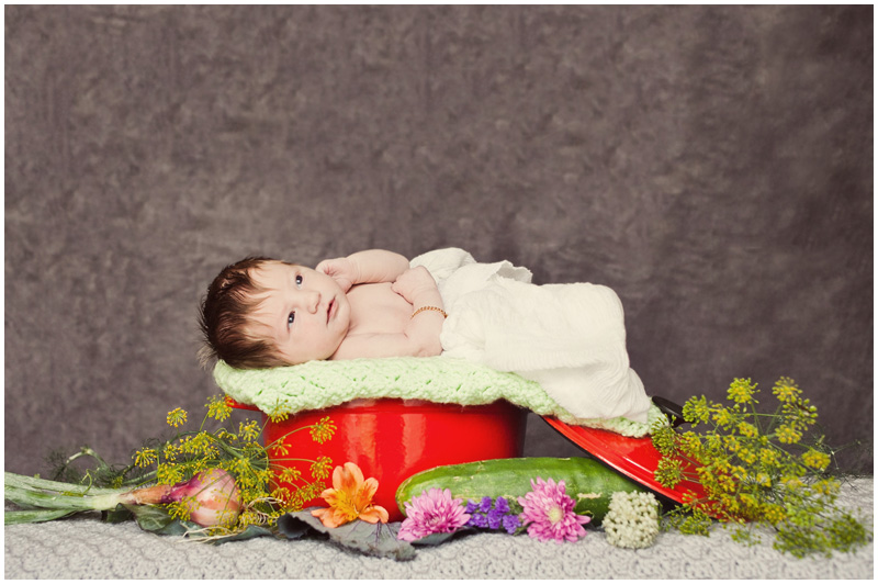 Syracuse, NY Newborn & Baby Portrait Photographer Mabyn Ludke Photography