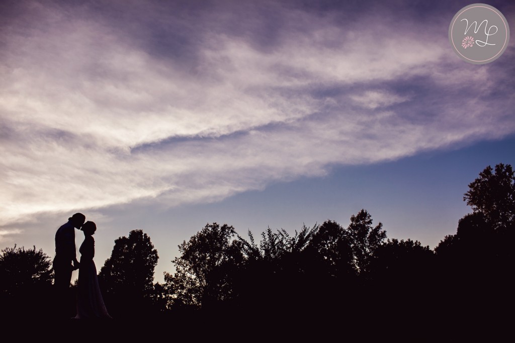 Those pre sunset clouds worked as the perfect background for Alaina & Dustin's wedding silhouette! By Mabyn