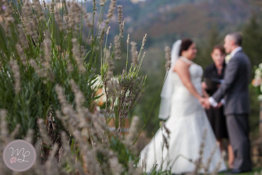 Lavender bushes lined the path to Liz & Steve's romantic California wedding at Calistoga Ranch. Mabyn Ludke Photography