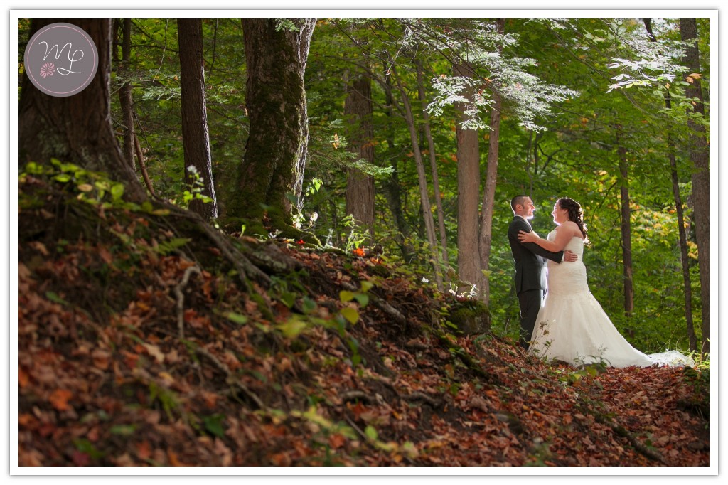 Chittenango Falls Chittenango, NY Wedding Photographer Mabyn Ludke Photography