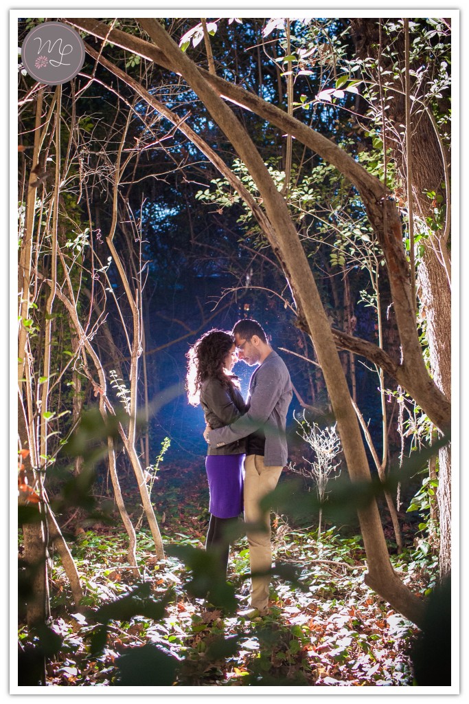 Gorgeous artistic engagement photography in Chapel Hill, North Carolina.