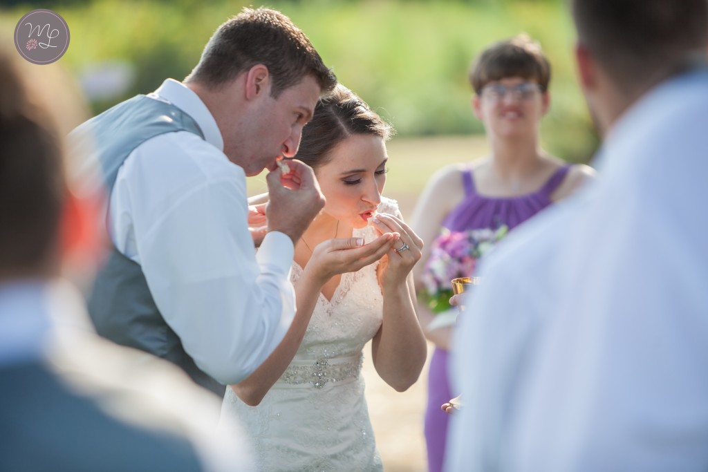 Kernersville, NC Backyard Wedding Photographer Mabyn Ludke Photography