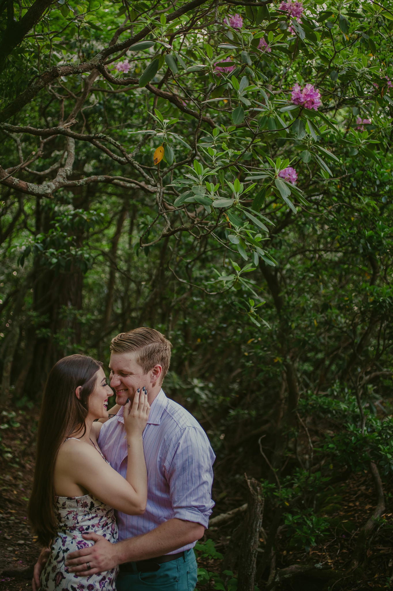 Couple cuddles on the Hawksbill Mountain Trail in Linville, NC Photo by Mabyn Ludke Photography