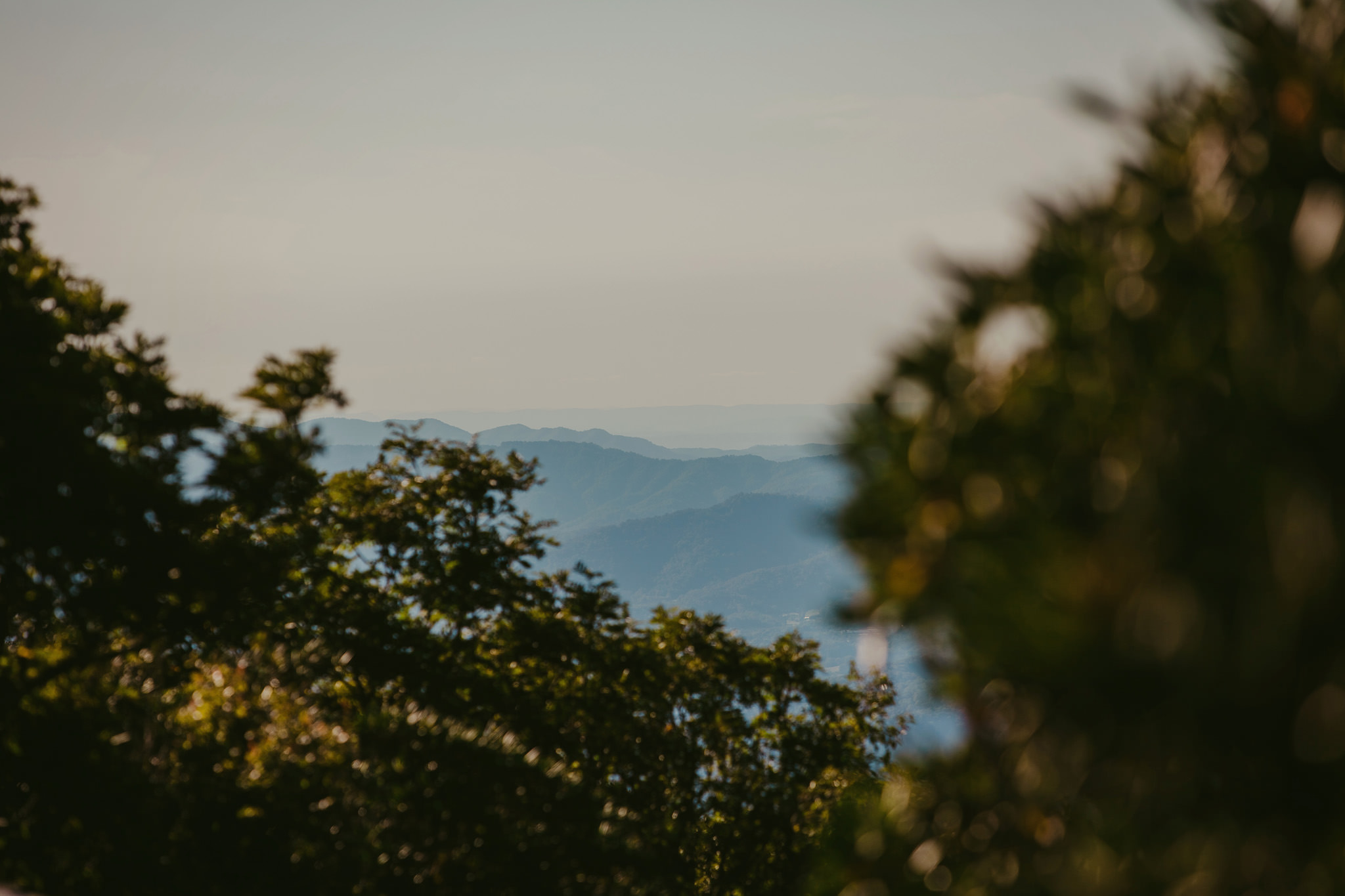 View of the Blue Ridge Mountains from Craggy Gardens