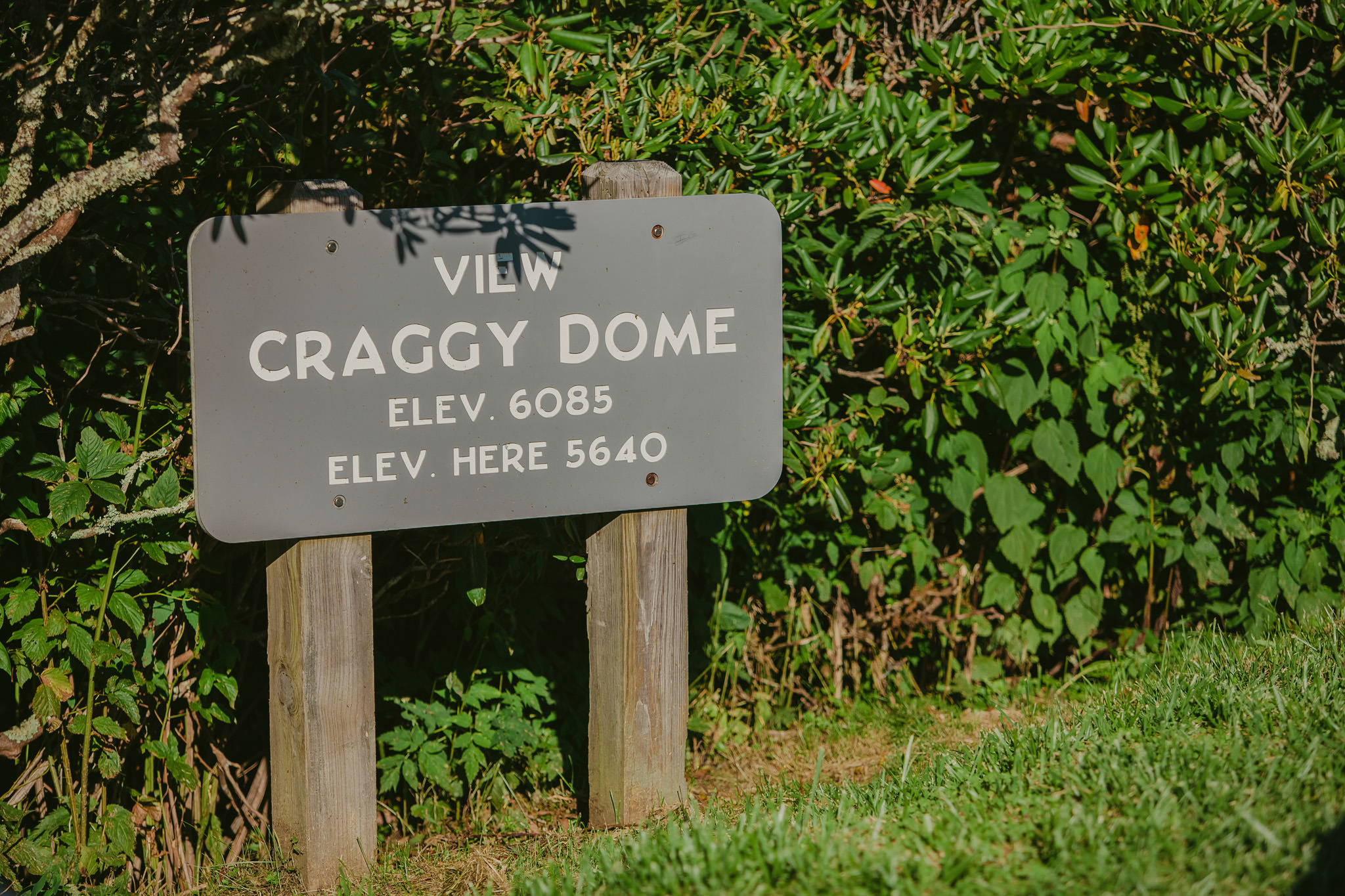 The Craggy Dome sign at Craggy Gardens in Asheville, NC