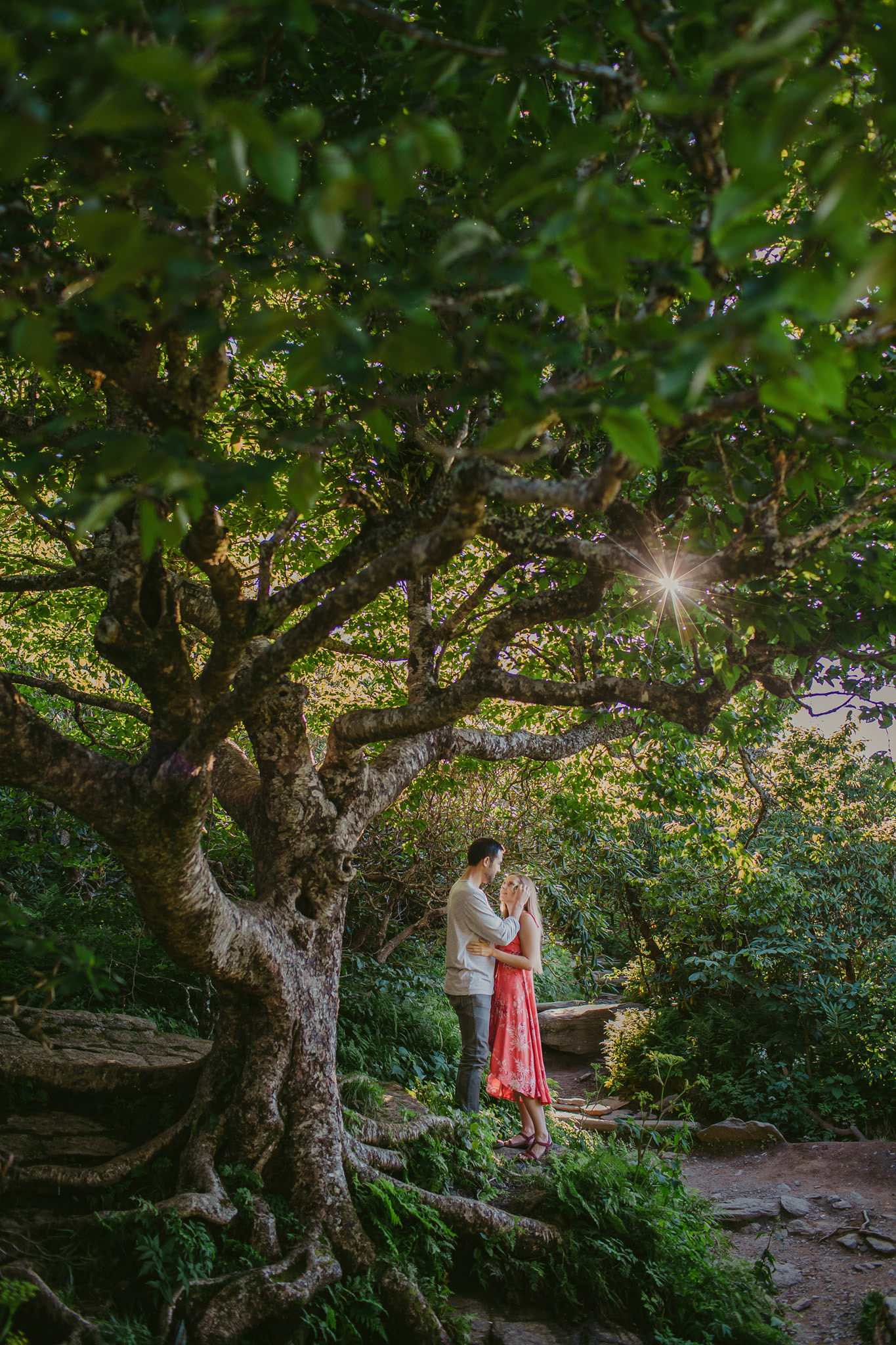 A couple stands beneath a large tree on the Craggy Gardens trail in Asheville, NC