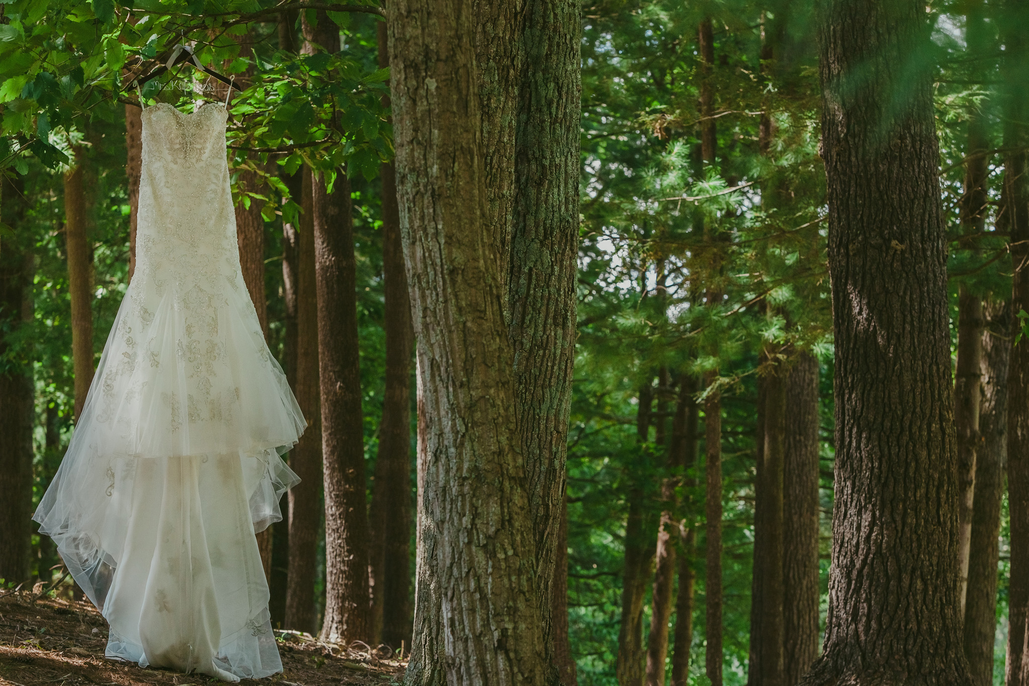 Wedding dress in the forest near Asheville, NC
