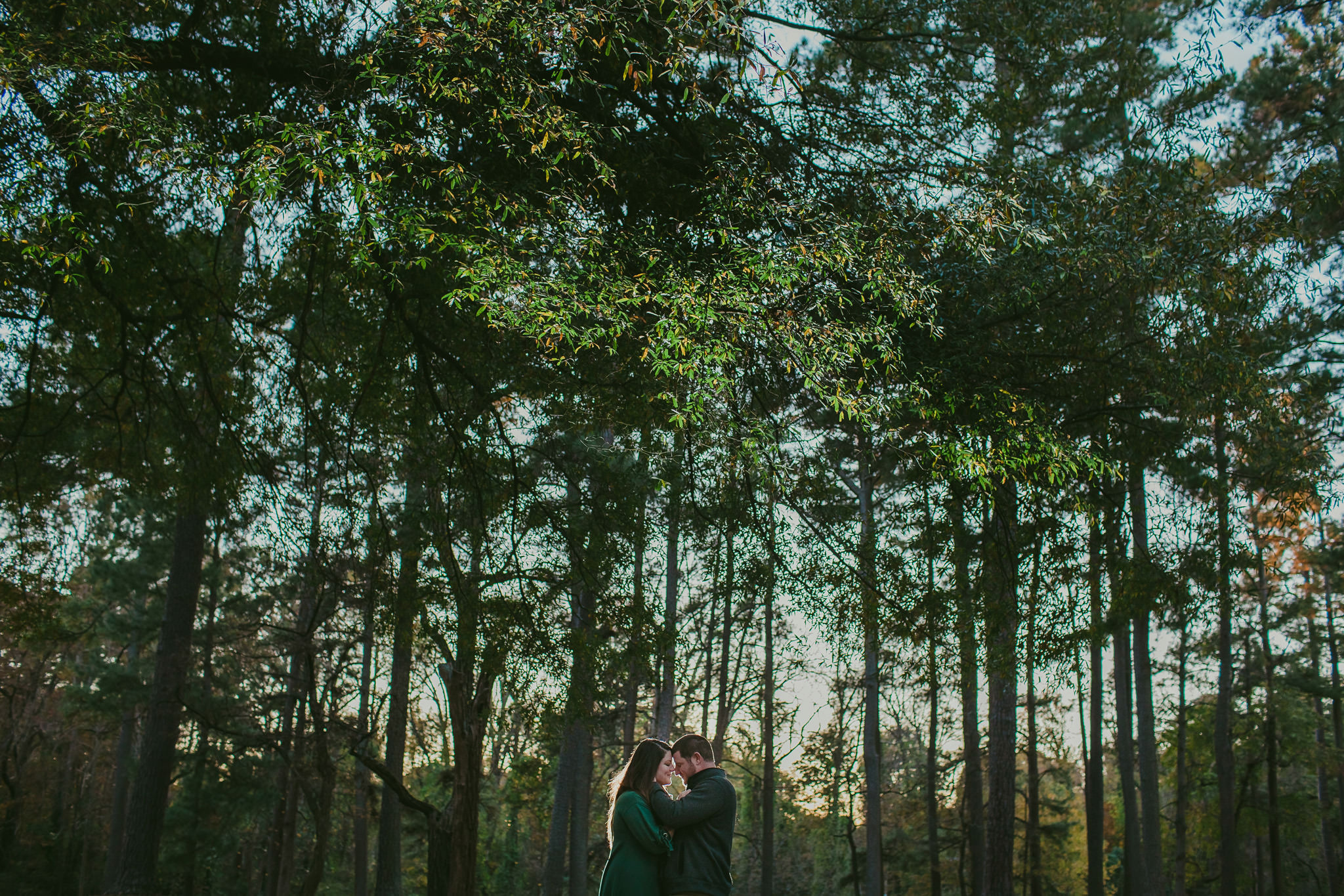 Epic pines make the perfect backdrop for this Satatesville, NC engagement session at Mac Anderson Park